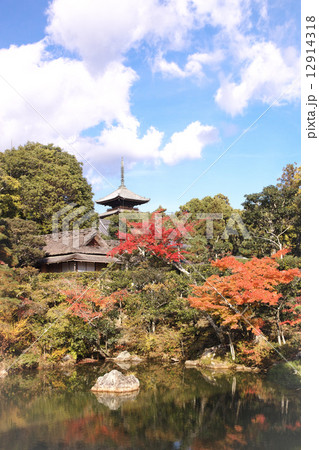 京都　仁和寺　紅葉 12914318