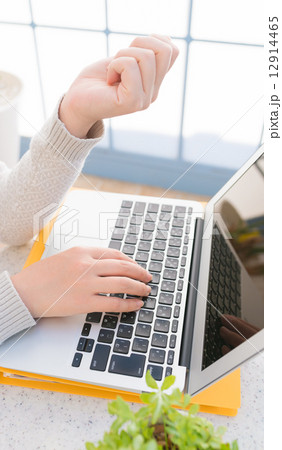 パソコンをする女性 12914465