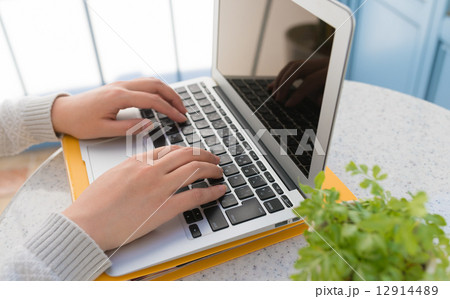 パソコンをする女性 12914489