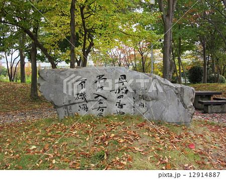 有磯海SA 有磯海SA 12914887