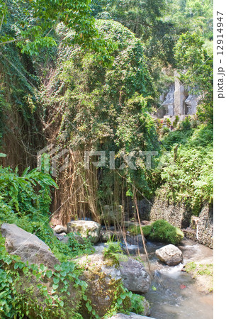 Park nearby Temple-tomb imperial family. Gunung-Kavi. Bali. Indonesia. .. 12914947