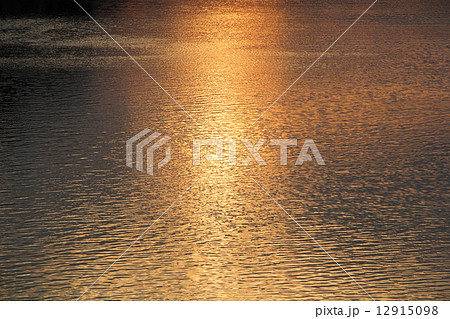 アルノ川に映る夕日（フィレンツェ） 12915098