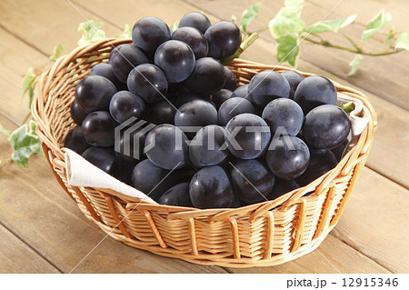 ピオーネ 12915346