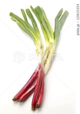 赤ねぎ1 12915354