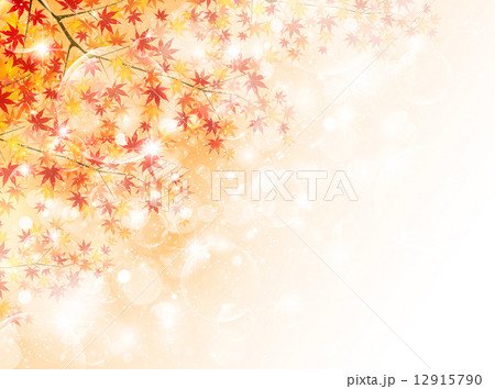 もみじ　紅葉　風景 12915790