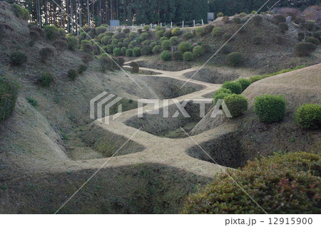 山中城 障子堀 山中城 障子堀 12915900