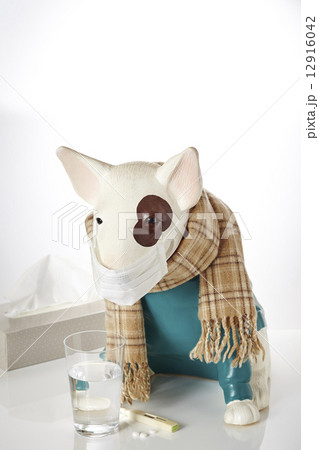 風邪の季節 12916042