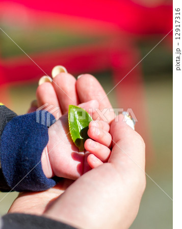 あかちゃんの手と添える手 12917316