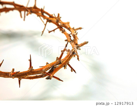 Thorn crown close up Thorn crown close up 12917913