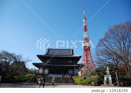 増上寺の本堂･東京タワー（東京都港区芝公園） 12918240