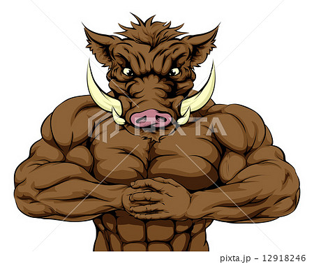Strong Boar Mascot 12918246