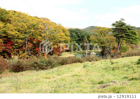 青森 青森 12919111