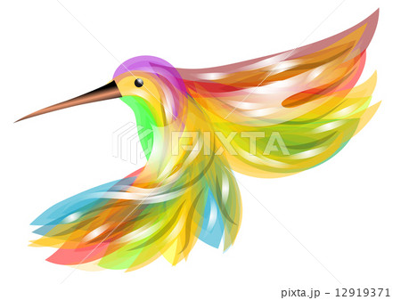 hummingbird 12919371