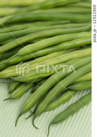 サヤインゲン 12922900