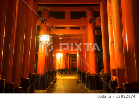 伏見稲荷大社　千本鳥居　夜景 12922974
