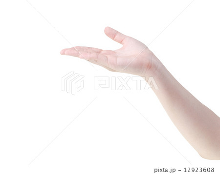 Open empty woman hand Open empty woman hand 12923608