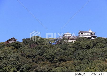 堀之内総合グランドから仰ぎ見る「松山城」 堀之内総合グランドから仰ぎ見る「松山城」 12923713