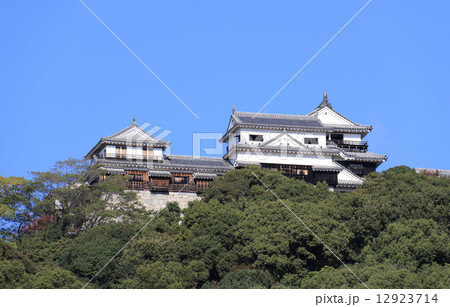 堀之内公園から仰ぎ見る「松山城」 12923714