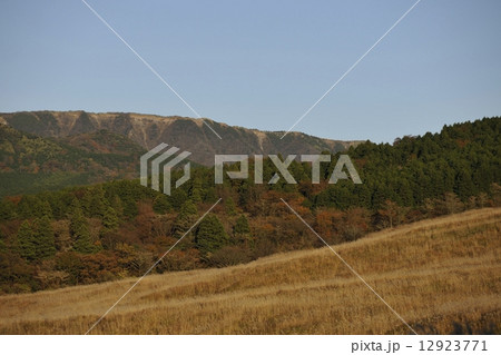 黄金色のススキ草原 12923771