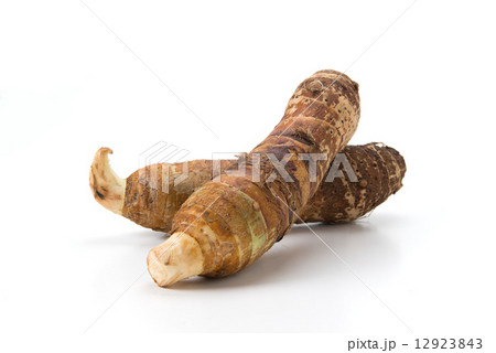 京野菜のエビイモ 京野菜のエビイモ 12923843