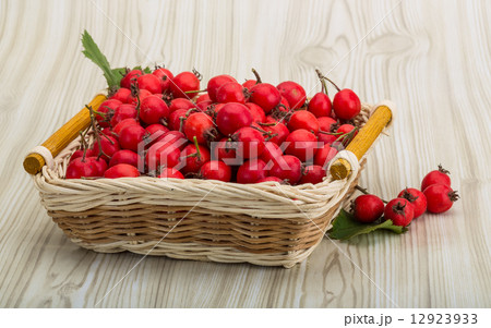 Hawthorn Hawthorn 12923933