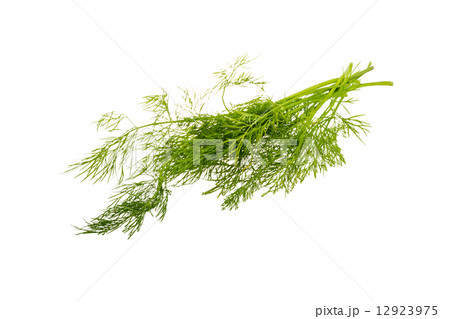 Dill branch Dill branch 12923975