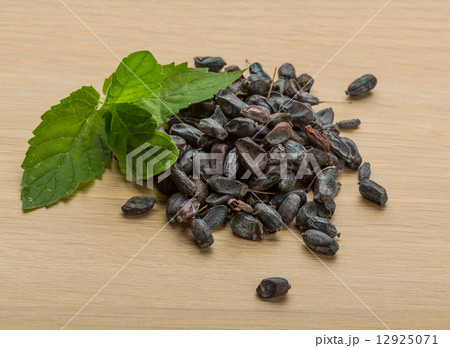 Berberis Berberis 12925071