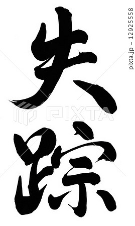 失踪 12925558