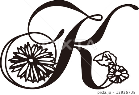 Chrysanthemum K Decorative Alphabetのイラスト素材