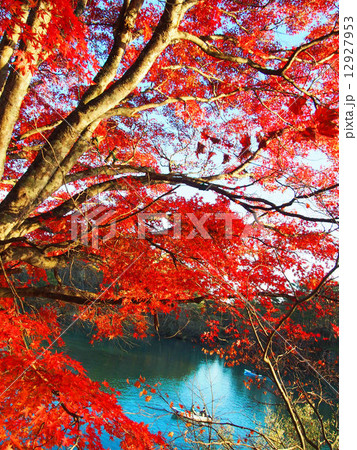 紅と碧 紅と碧 12927953