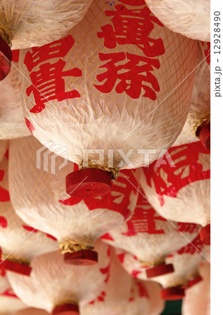 Chinese Lantern Chinese Lantern 12928490