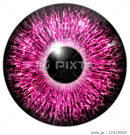 Purple eye 12929004