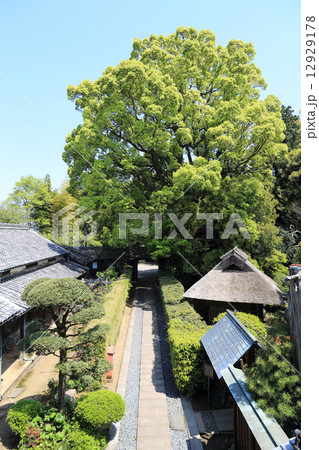 愛媛県新居浜市、住友グループの基礎を確立した広瀬宰平の旧宅・庭園を公園とした「広瀬公園」内の旧宅=「廣瀬記念邸」の玄関アプローチを母屋二階から見る 愛媛県新居浜市、住友グループの基礎を確立した広瀬宰平の旧宅・庭園を公園とした「広瀬公園」内の旧宅=「廣瀬記念邸」の玄関アプローチを母屋二階から見る 12929178