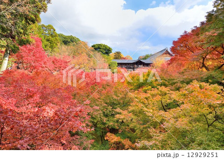 秋の京都 秋の京都 12929251