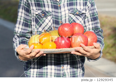 フルーツ盛り合わせ 12929345