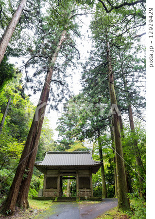 鰐淵寺・仁王門 鰐淵寺・仁王門 12929429