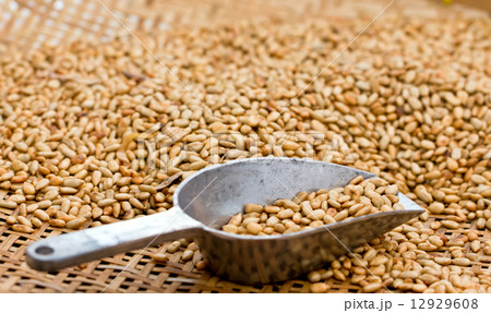 Fried sunflower seed with metal scoop in bamboo basket. Fried sunflower seed with metal scoop in bamboo basket. 12929608