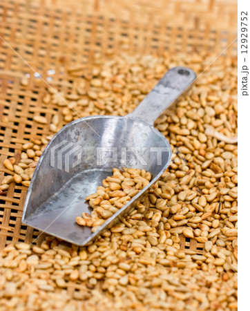 Fried sunflower seed with metal scoop in bamboo basket. Fried sunflower seed with metal scoop in bamboo basket. 12929752