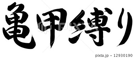 亀甲縛り 12930190