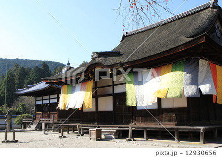 三井寺 三井寺 12930656