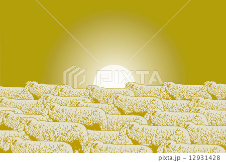 背面未群れ２ 12931428