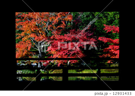 京都　天竜寺 12931433
