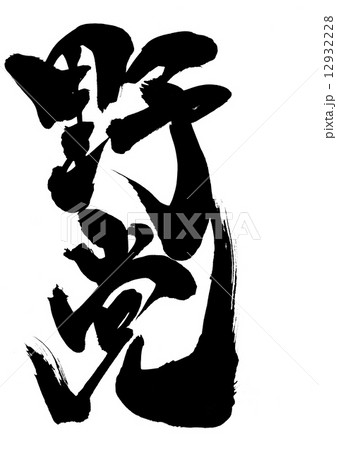 野党・・・文字 12932228
