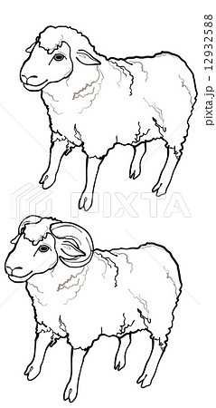 コンプリート リアル 羊 かわいい イラスト 4021