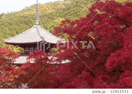 秋景色 奈良 壺阪寺 秋景色 奈良 壺阪寺 12933531