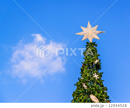 Christmas tree and star in blue sky 12934528
