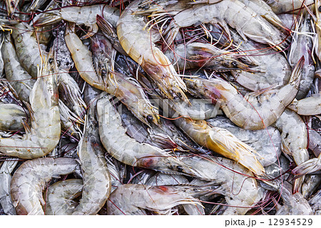 Fresh shrimp in the market 12934529