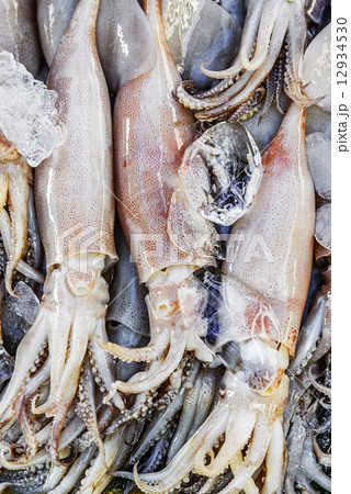 Fresh squid in the market 12934530