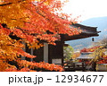 紅葉 12934677