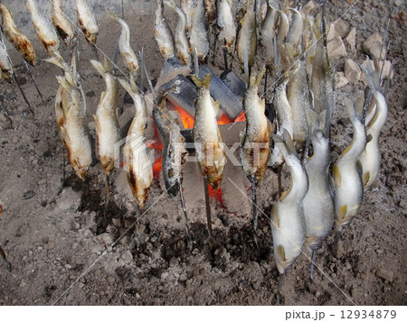 鮎 岩魚 塩焼きの写真素材